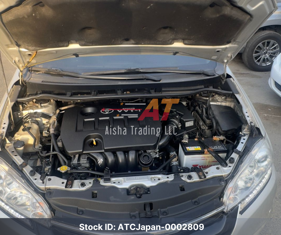 2013 Toyota Wish